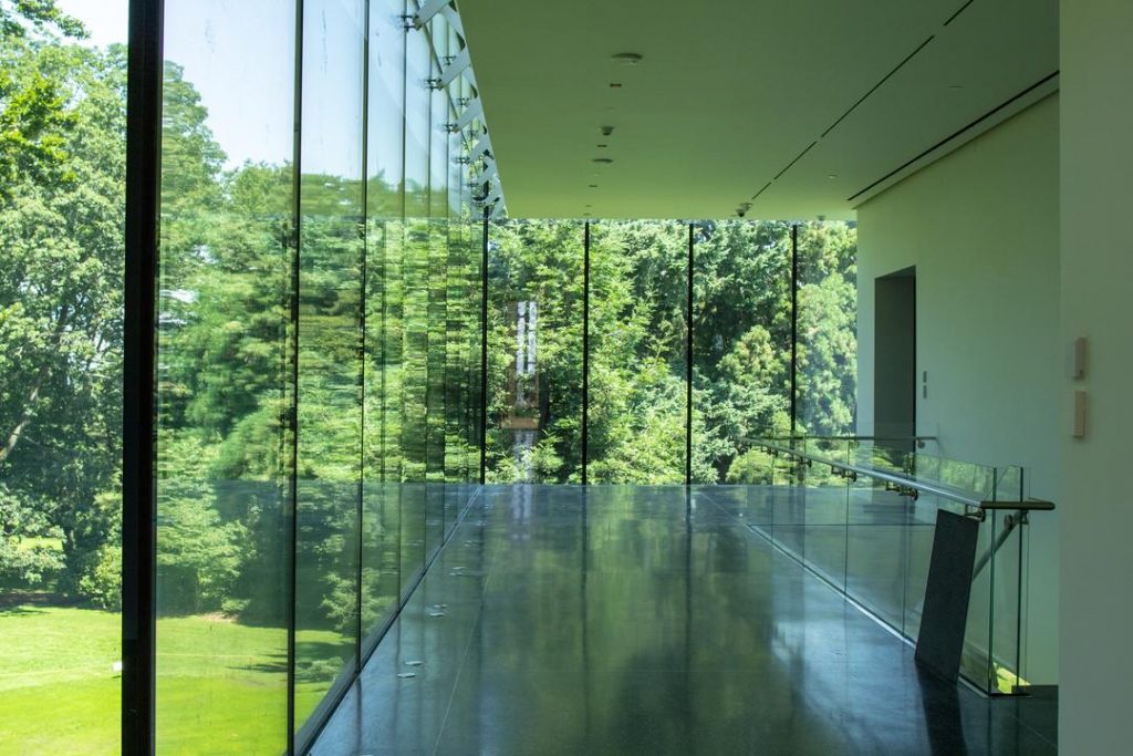 view of the park lobby with glass walls overlooking the trees in Volunteer Park
